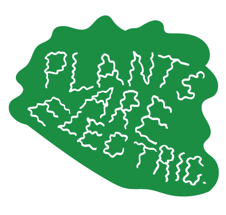 Plants Are Electric